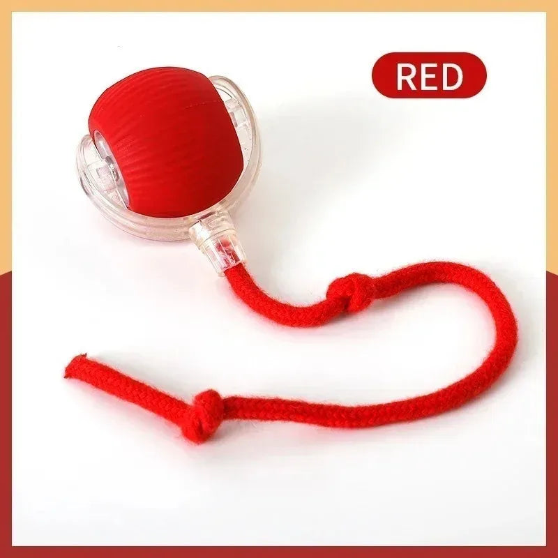 Smart Dog Toy Ball Electronic Interactive Pet Toy Moving Ball USB Automatic Moving Jumping Bouncing