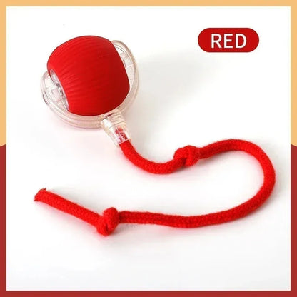 Smart Dog Toy Ball Electronic Interactive Pet Toy Moving Ball USB Automatic Moving Jumping Bouncing